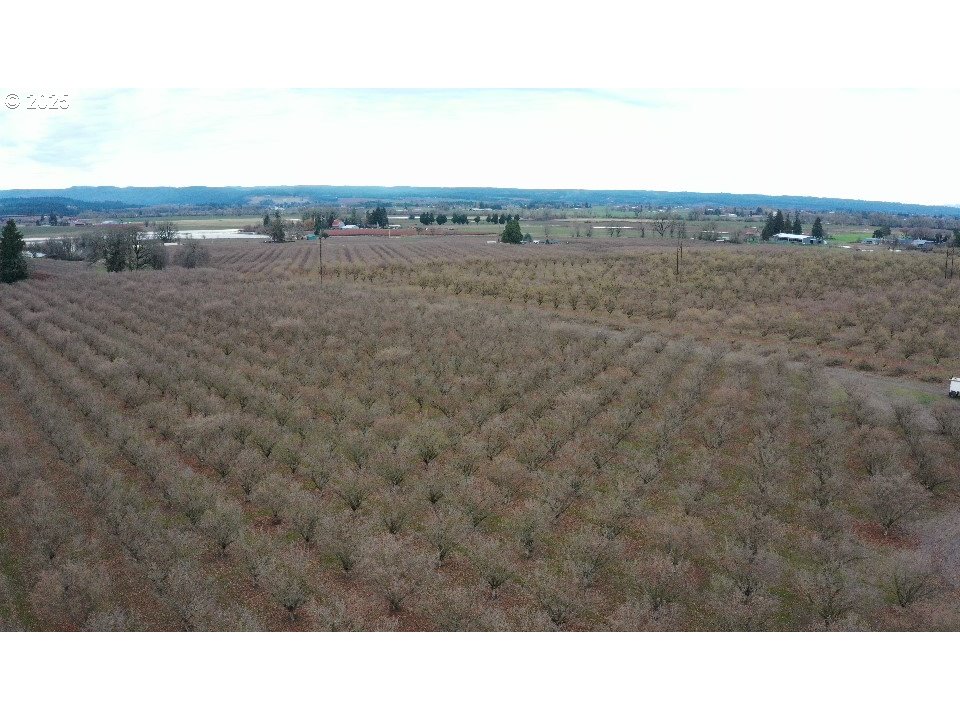 Forest Grove, Oregon 97116, United States, ,Residential,Active,18731