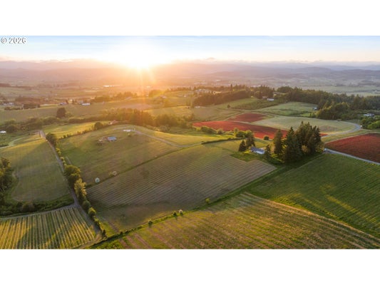 8810 NE BLACKBURN RD, YAMHILL, OR 97148 - Image 8bedbfe7a795dafefa6a0e03c9dcae46/1046563496