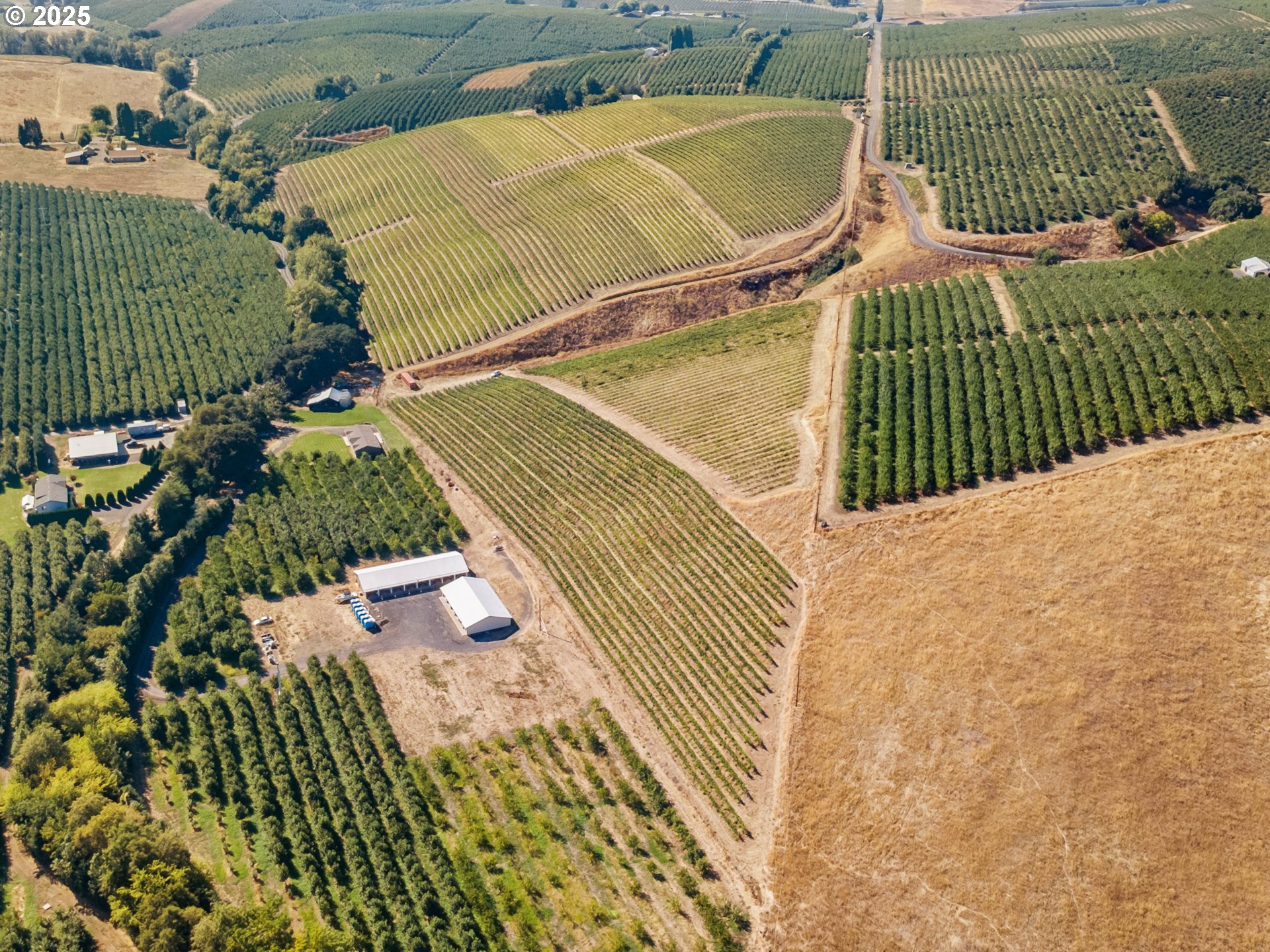 The Dalles, Oregon 97058, United States, 3 Bedrooms Bedrooms, ,2 BathroomsBathrooms,Residential,Active,219247