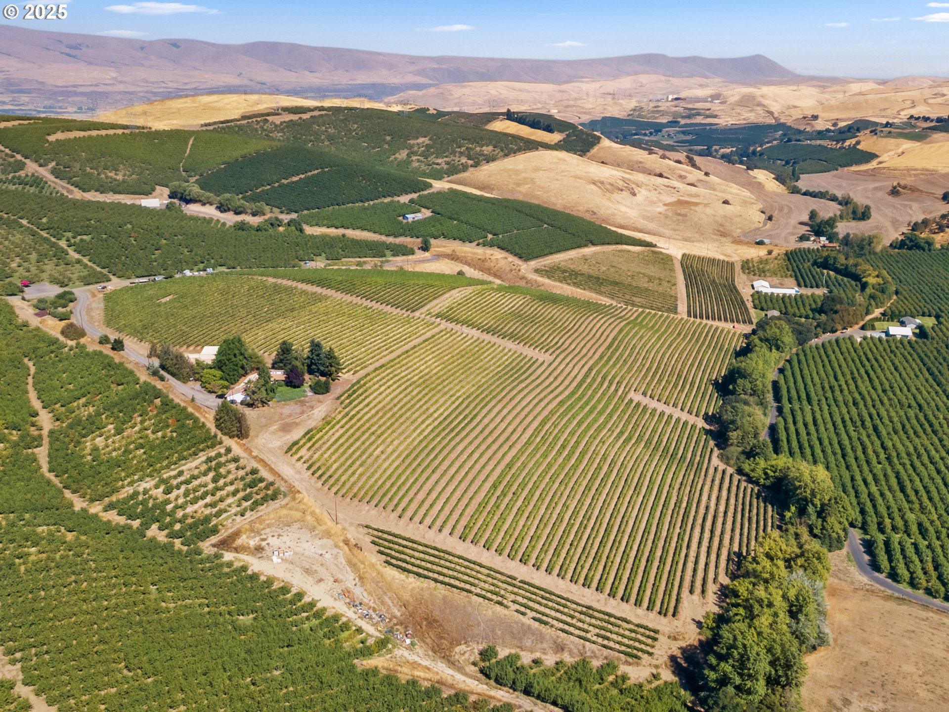 The Dalles, Oregon 97058, United States, 3 Bedrooms Bedrooms, ,2 BathroomsBathrooms,Residential,Active,219247