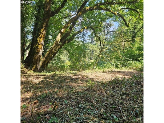 WASHOUGAL RIVER RD, WASHOUGAL, WA 98671 - Image 8e1659b09fa283f701fdb13805054fbf/659238638