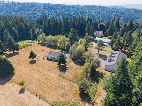 523 NE SQUIRE RD Washougal WA 98671