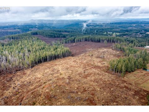 00 Benjimin RD Estacada OR 97023