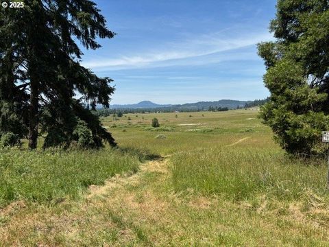 N Morningstar Road Pleasant Hill OR 97455