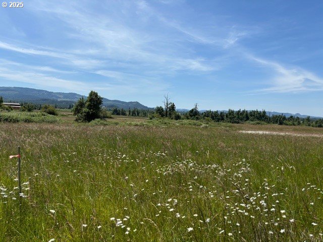 N Morningstar Road