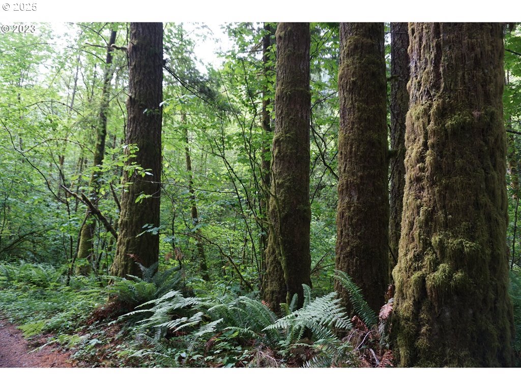 000 NE Buncombe Hollow RD Lot 29