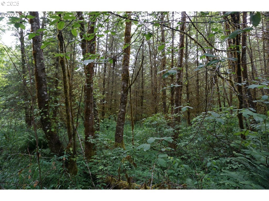 000 NE Buncombe Hollow RD Lot 29