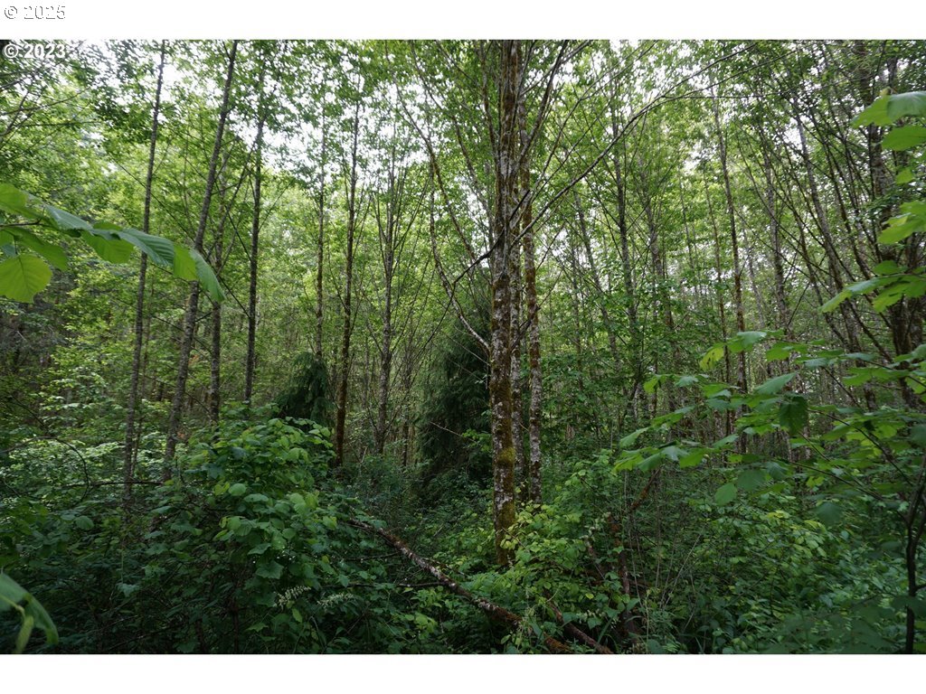 000 NE Buncombe Hollow RD Lot 29
