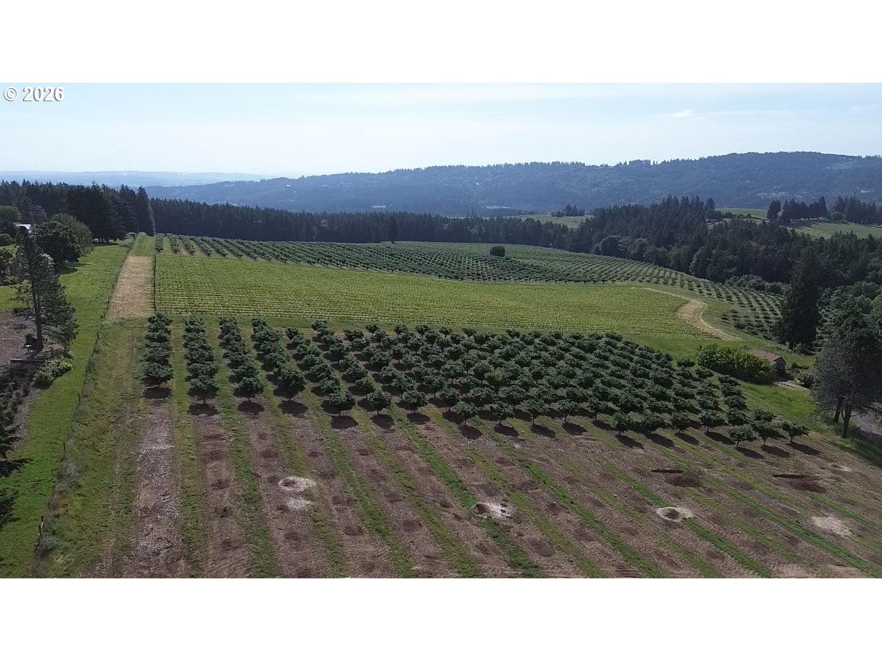 NE LANDER LOT B
