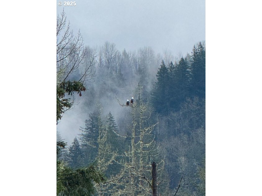 00 Thompson DR Lot #3