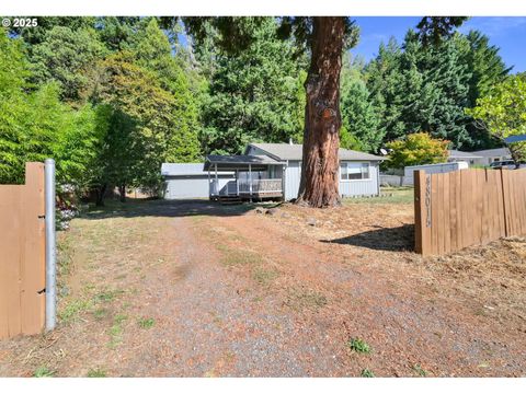 Photo of 48015 W 2nd St, Oakridge, OR 97463 (MLS # 556025648)
