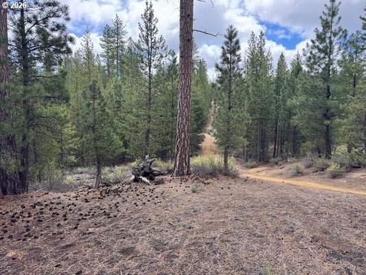 8TH ST, LA PINE, OR 97739 - Image 902da9838cdcdc8539f99dc9d82d7b3b/4029069859