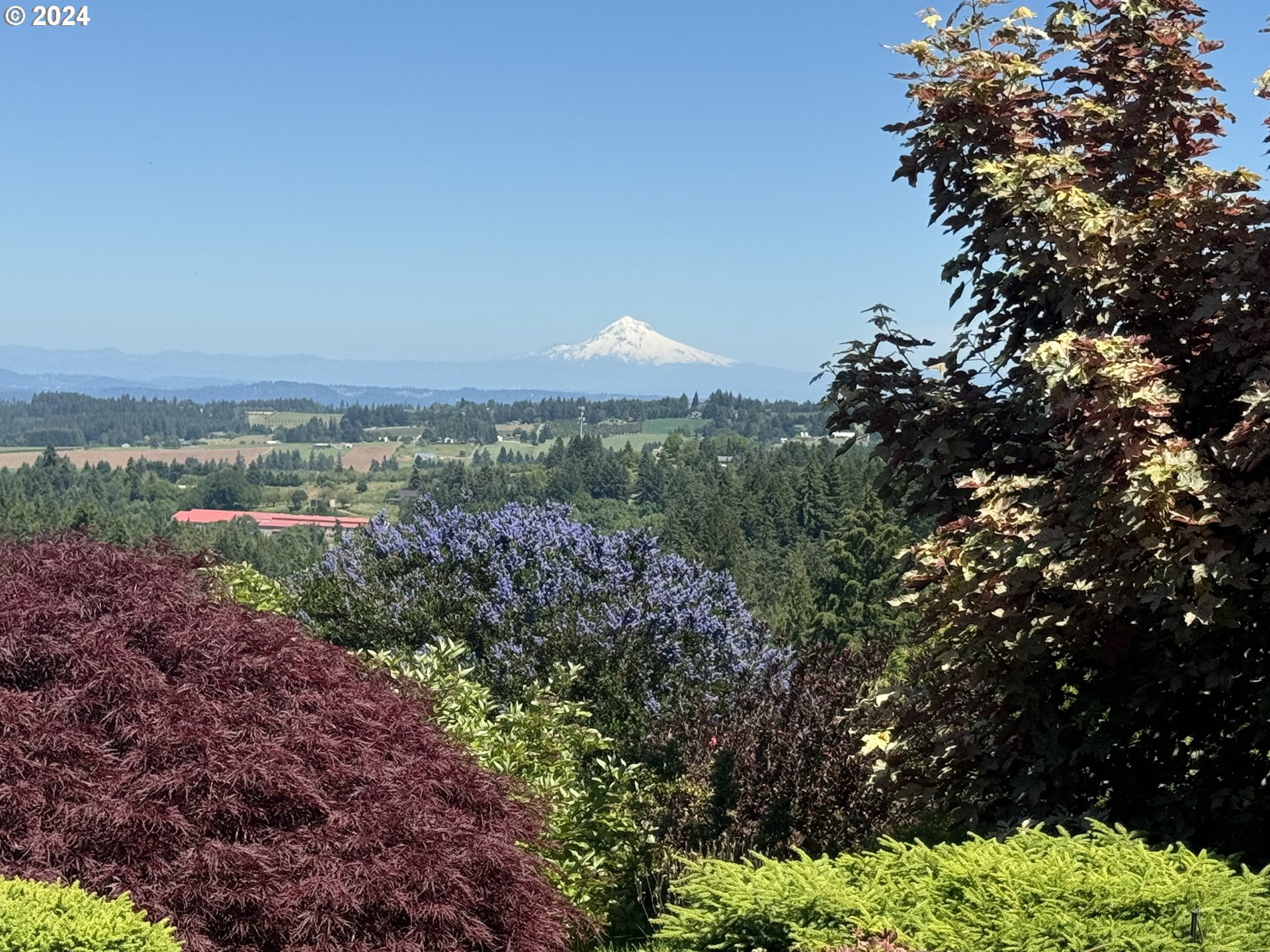 Newberg, Oregon 97132, United States, 4 Bedrooms Bedrooms, ,5 BathroomsBathrooms,Residential,Active,56980