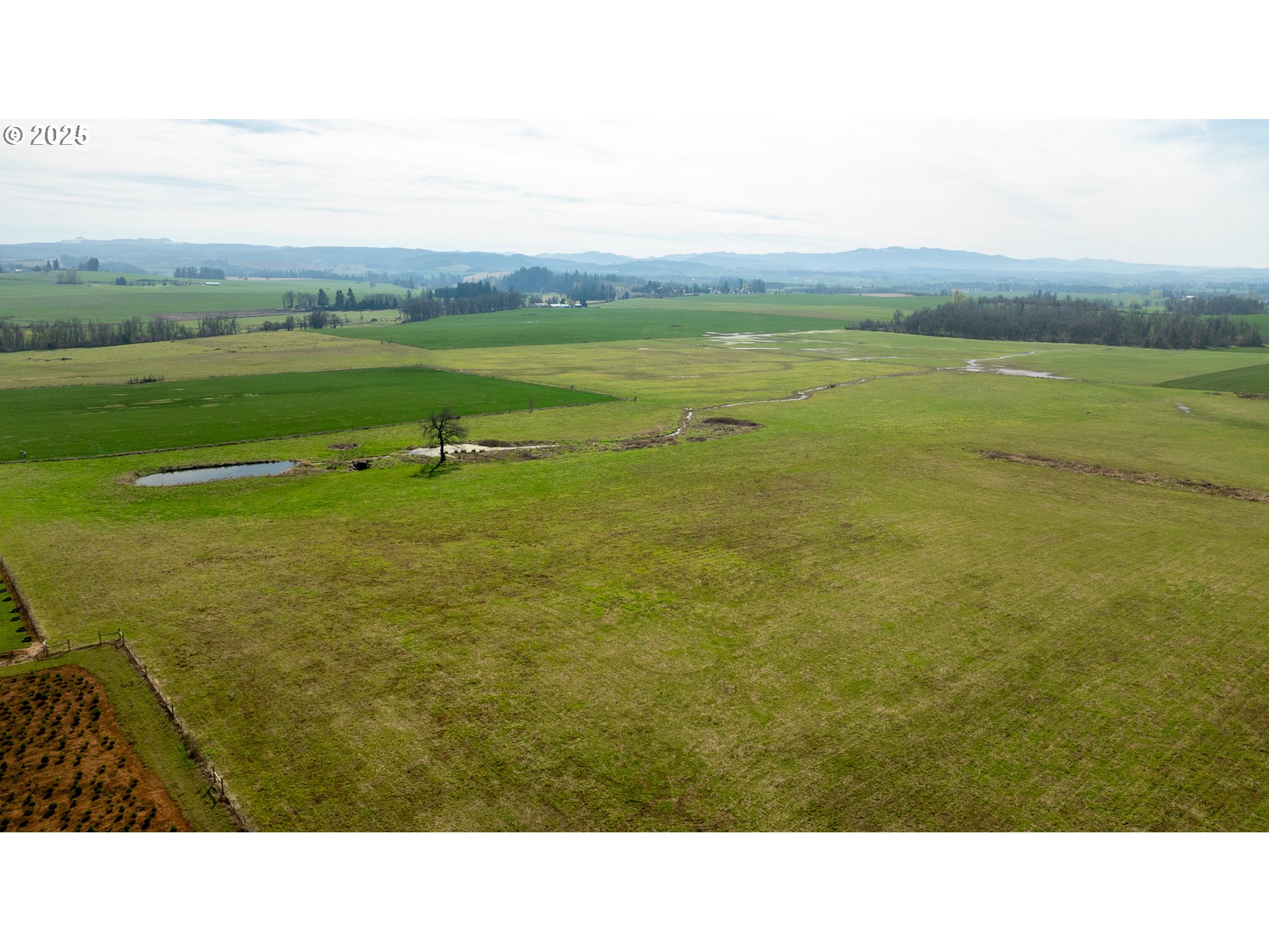 Salem, Oregon 97317, United States, ,Residential,Active,98875