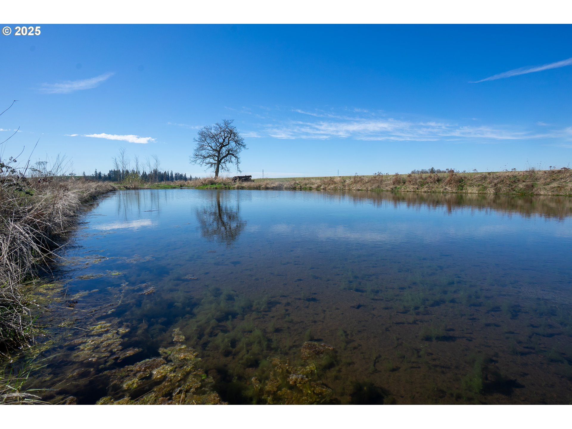 Salem, Oregon 97317, United States, ,Residential,Active,98875