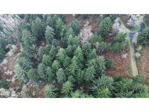 HERMAN CAPE RD TL400 Florence OR 97439