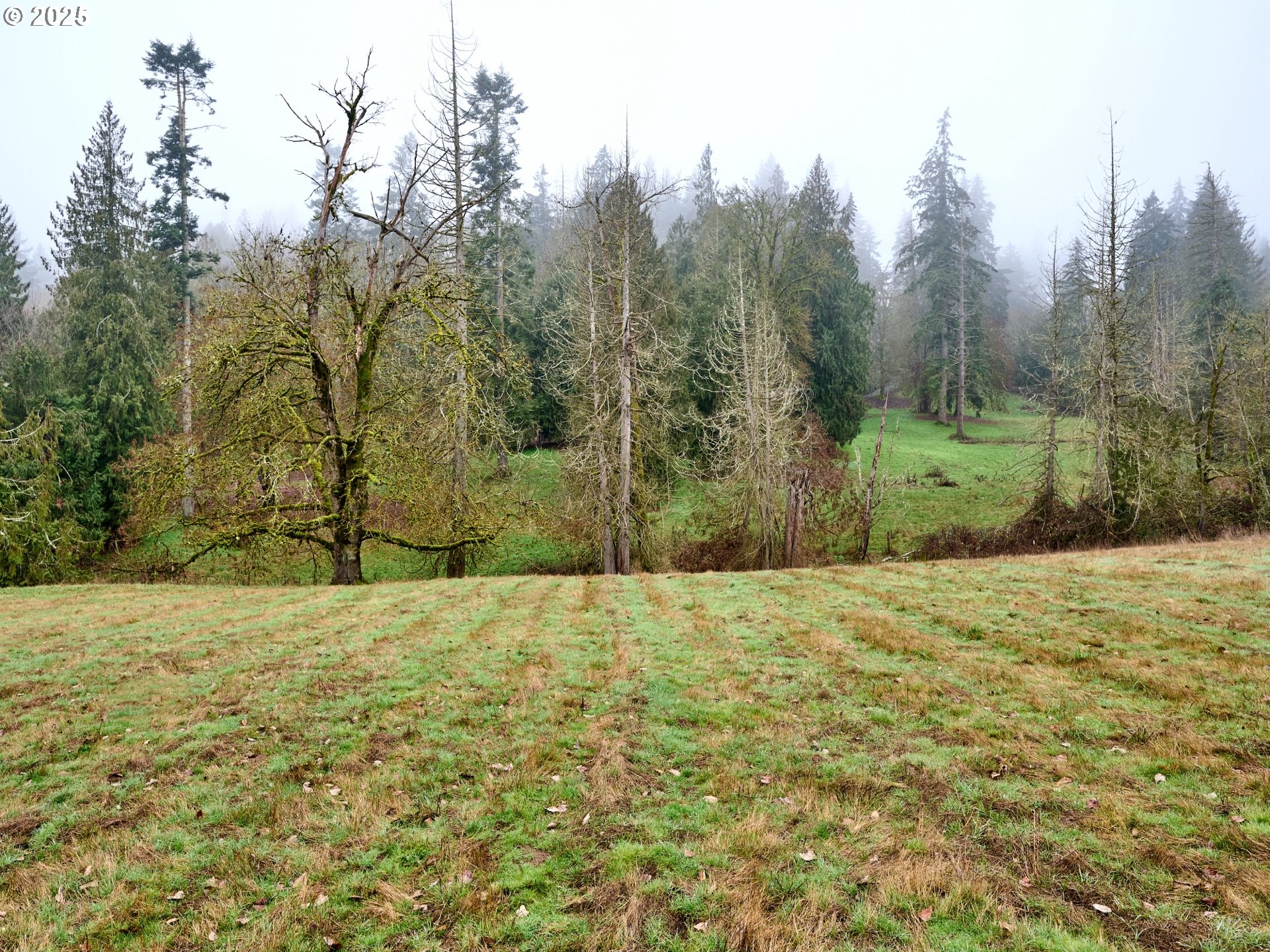 Canby, Oregon 97013, United States, 4 Bedrooms Bedrooms, ,2 BathroomsBathrooms,Residential,Pending,17046