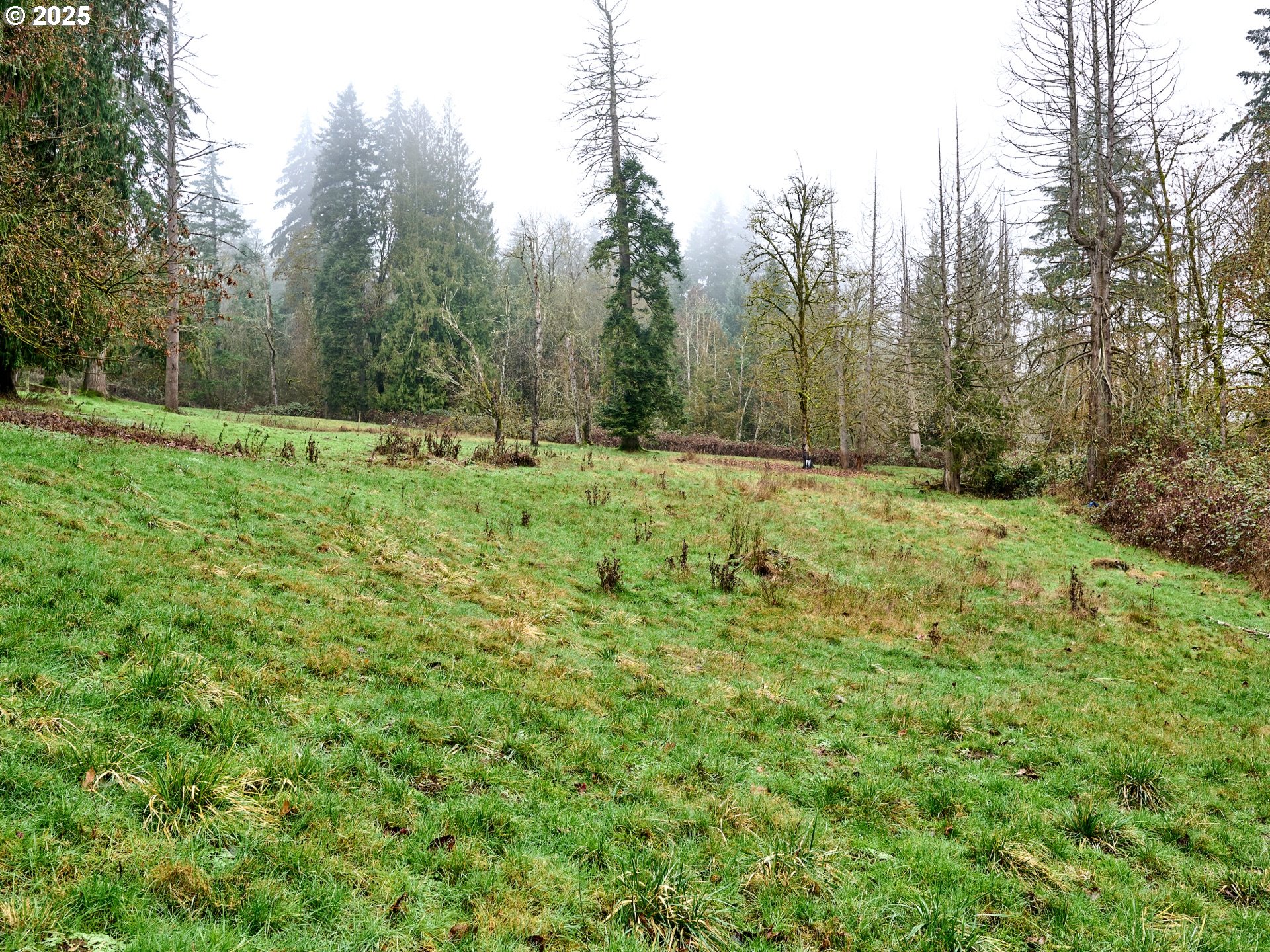 Canby, Oregon 97013, United States, 4 Bedrooms Bedrooms, ,2 BathroomsBathrooms,Residential,Pending,17046