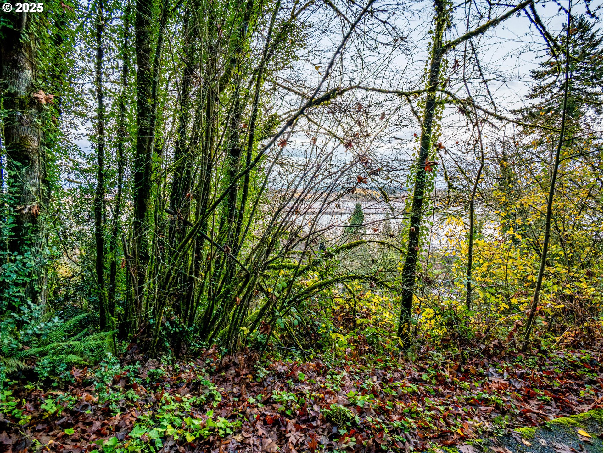 9991 NW WILARK AVE W