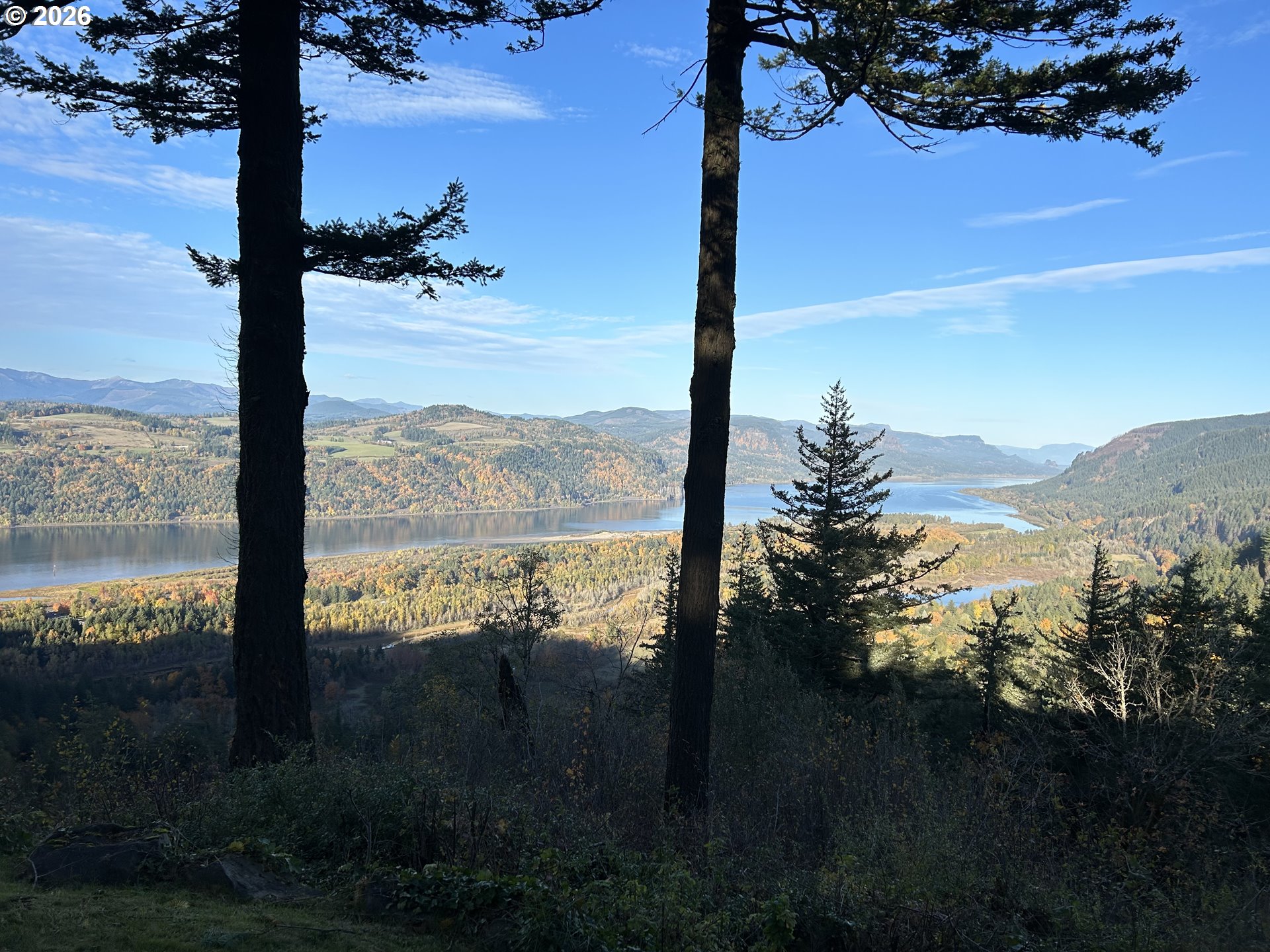 41225 E LARCH MOUNTAIN RD