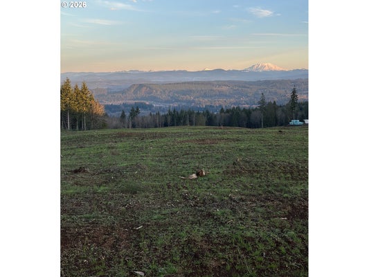 224 SUNCREST DR, CASTLE ROCK, WA 98611 - Image 91972aa7292786fba9acd2528fa17d8a/2495473090