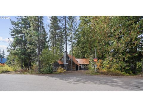 88887 E GOVERNMENT CAMP LOOP Government Camp OR 97028