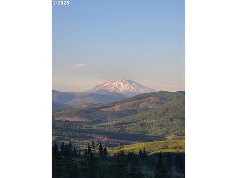 787 FIVE PEAKS DR Kalama WA 98625