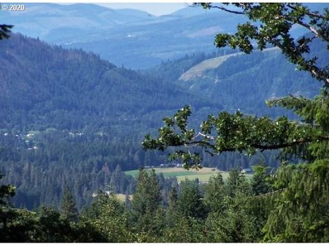 Lyons RD Husum WA 98623
