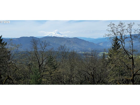 LYONS RD, WHITE SALMON, WA 98672 - Image 92b2f2d3962b4a394e2c24df9c71fa9f/2242047792