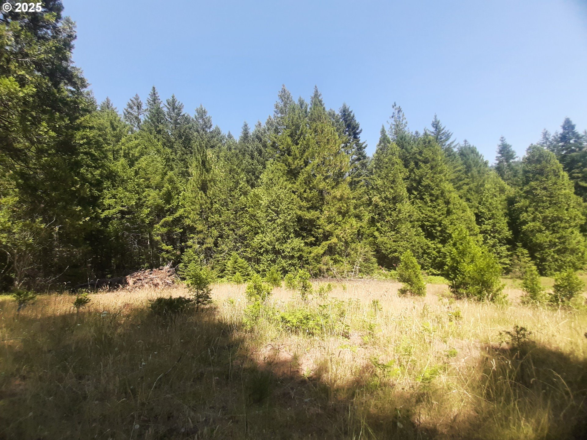 Days Creek, Oregon 97429, United States, ,Land,Active,170850