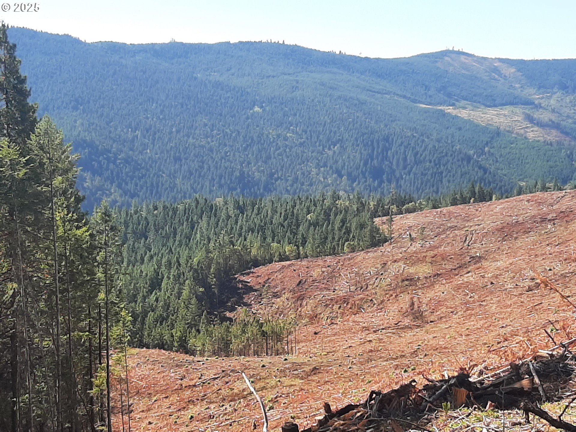 Days Creek, Oregon 97429, United States, ,Land,Active,170850