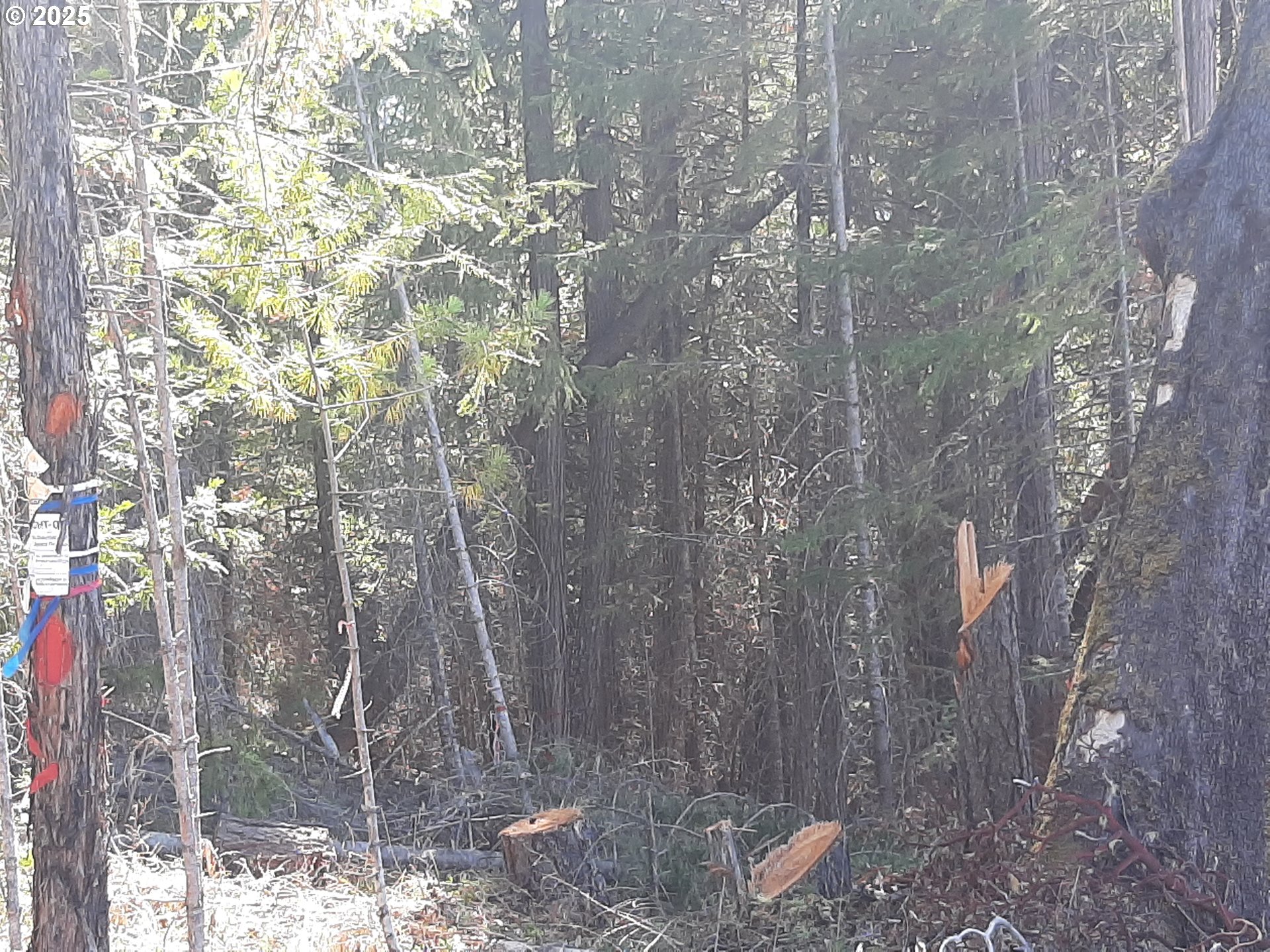 Days Creek, Oregon 97429, United States, ,Land,Active,170850