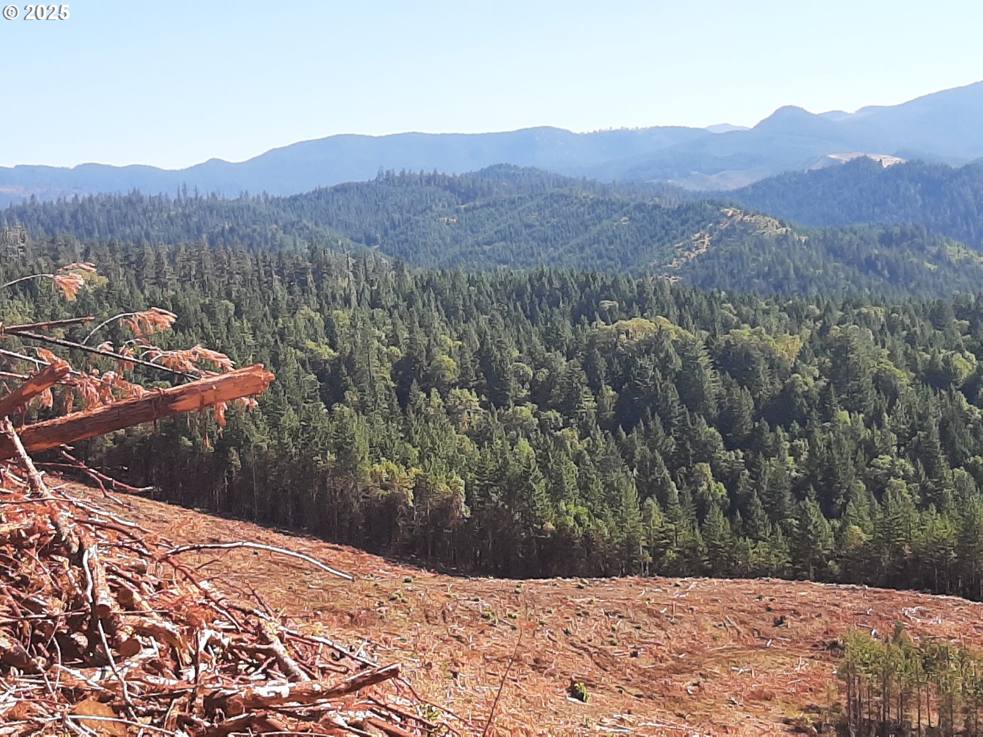 Days Creek, Oregon 97429, United States, ,Land,Active,170850