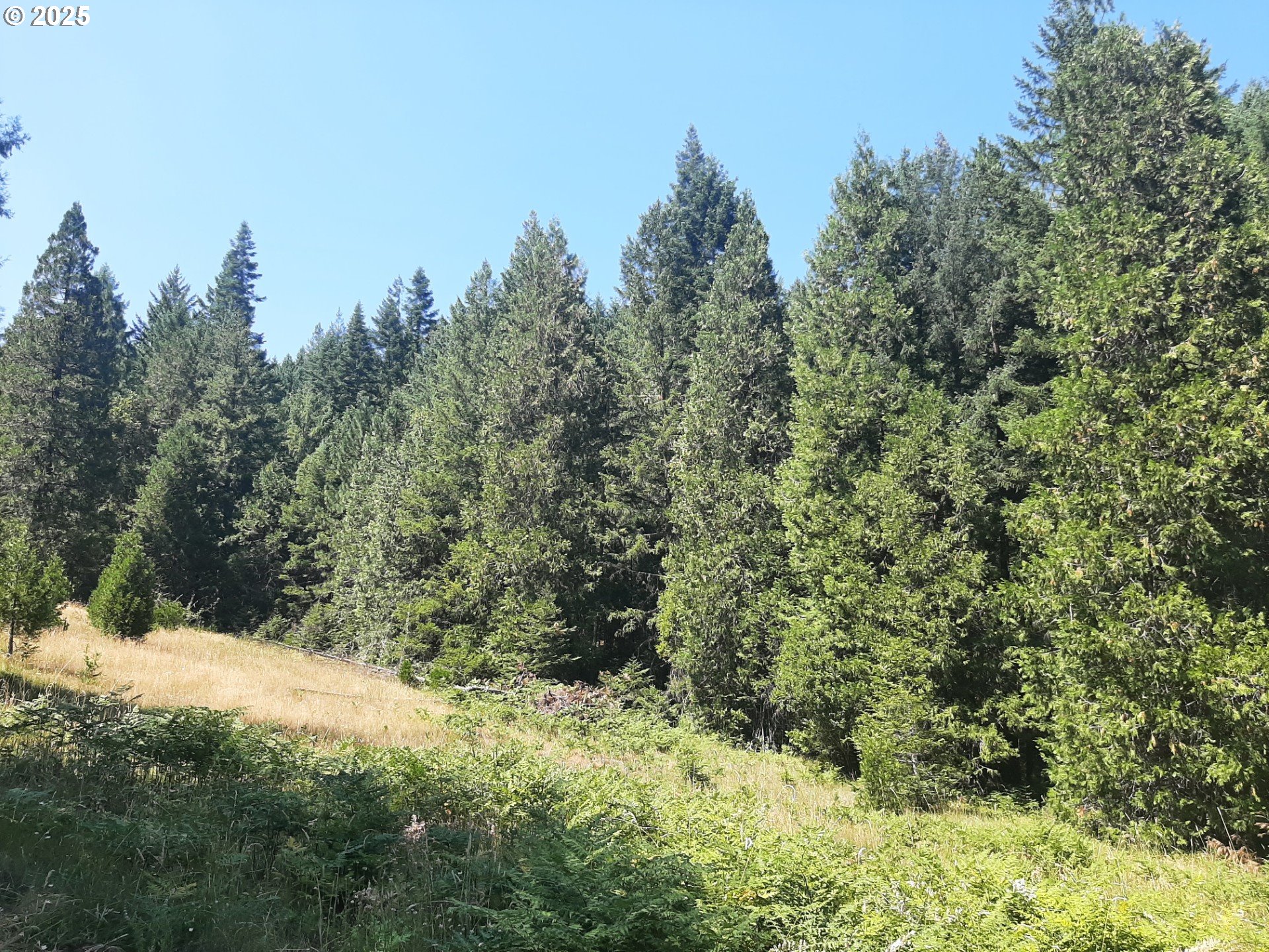 Days Creek, Oregon 97429, United States, ,Land,Active,170850