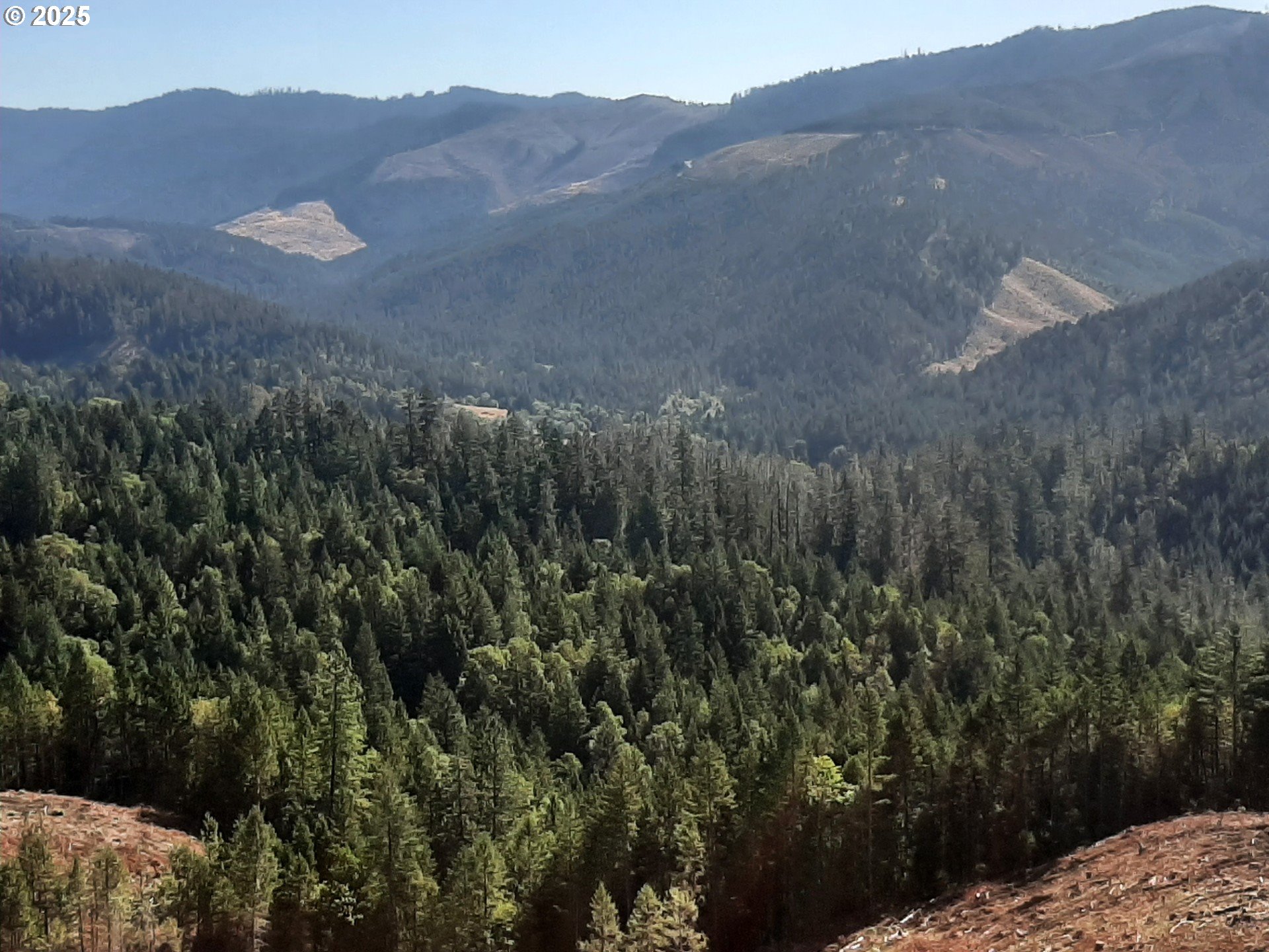 Days Creek, Oregon 97429, United States, ,Land,Active,170850