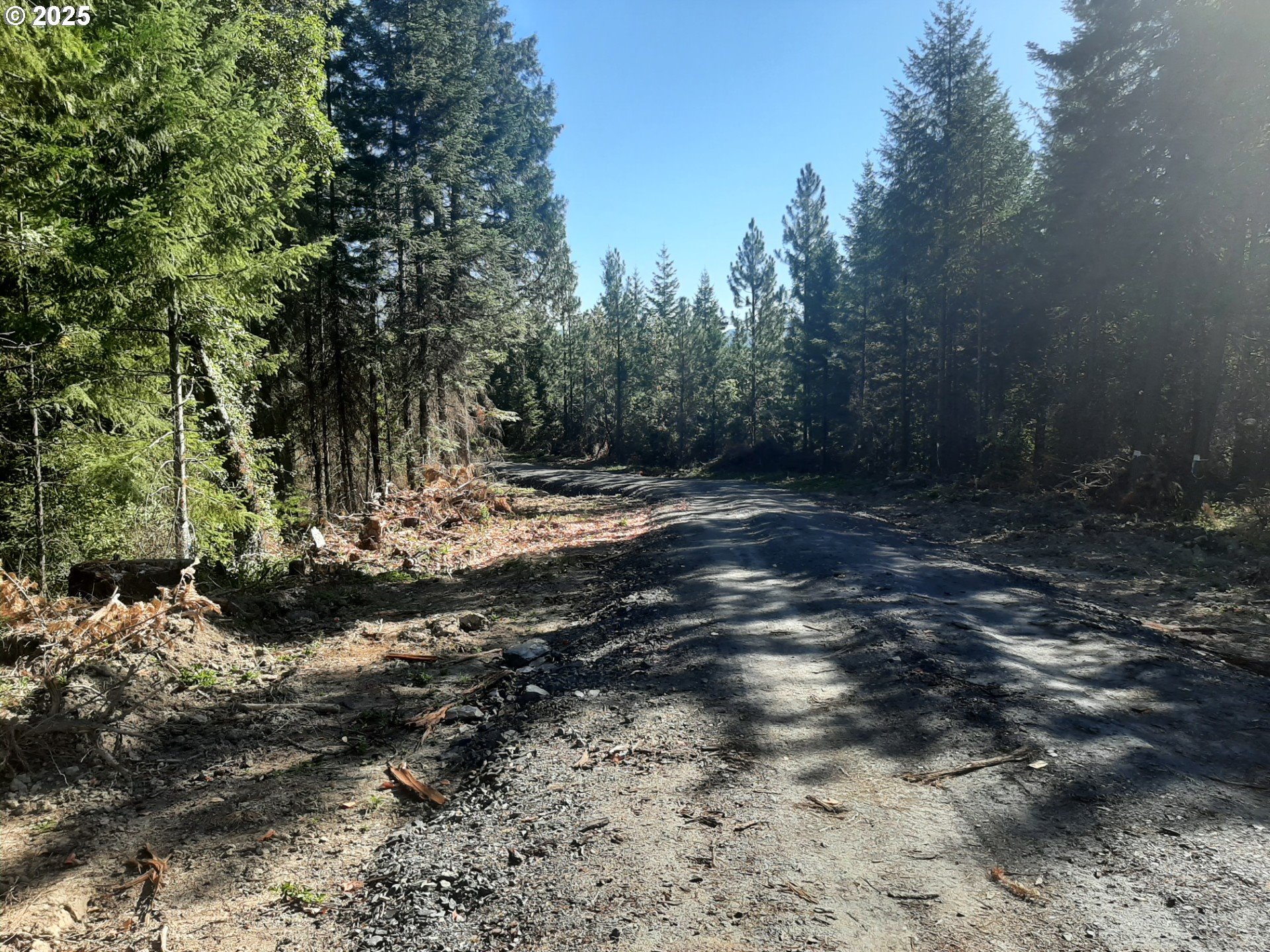 Days Creek, Oregon 97429, United States, ,Land,Active,170850