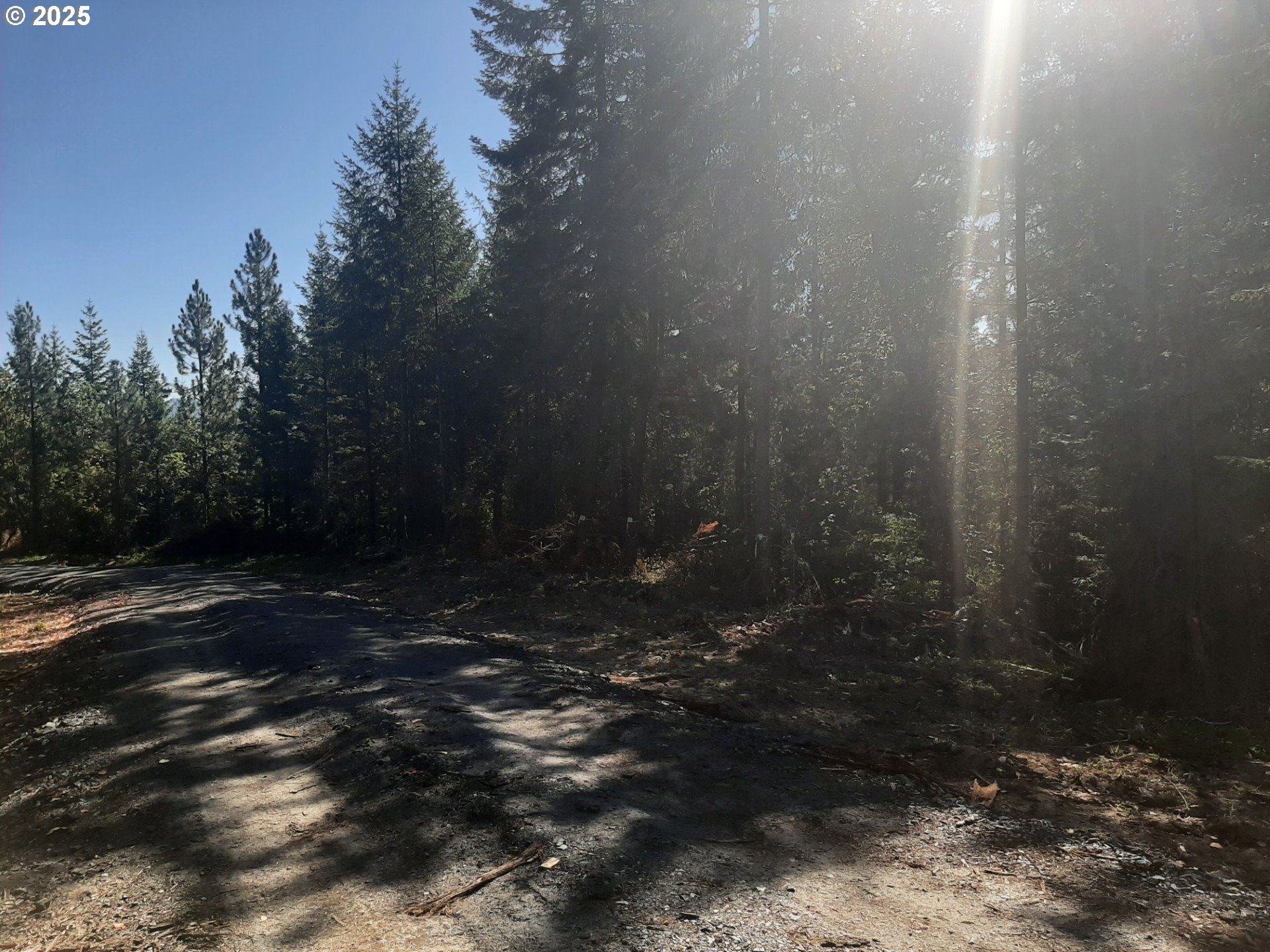 Days Creek, Oregon 97429, United States, ,Land,Active,170850