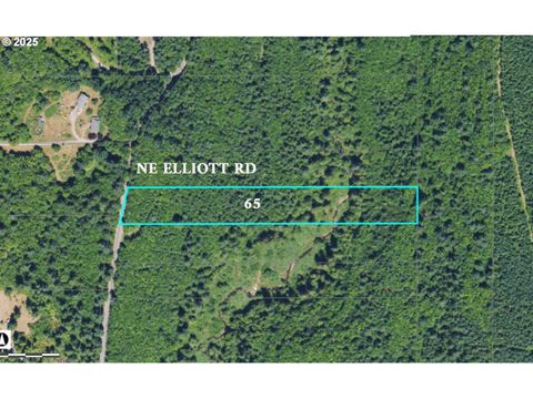 0 NE Elliott RD 65 Yacolt WA 98675