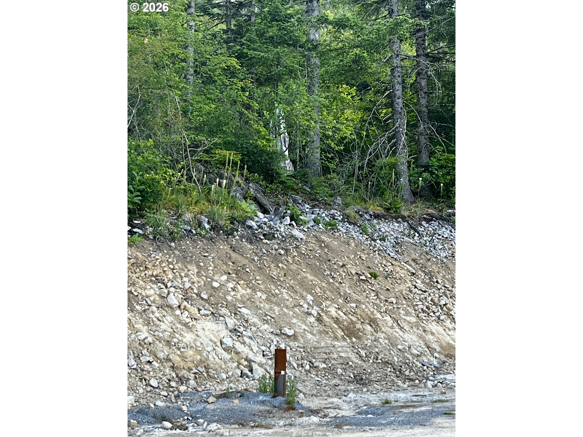 Snag Mountain Rd 110