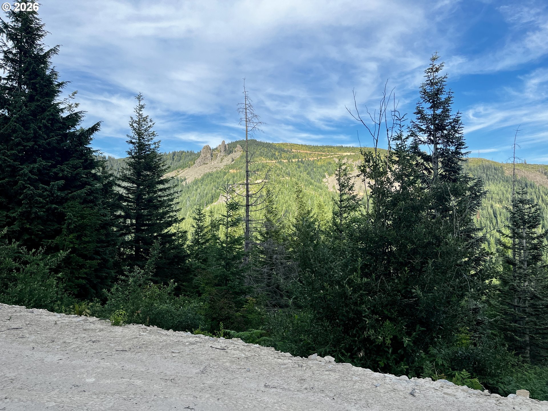 Snag Mountain Rd 110