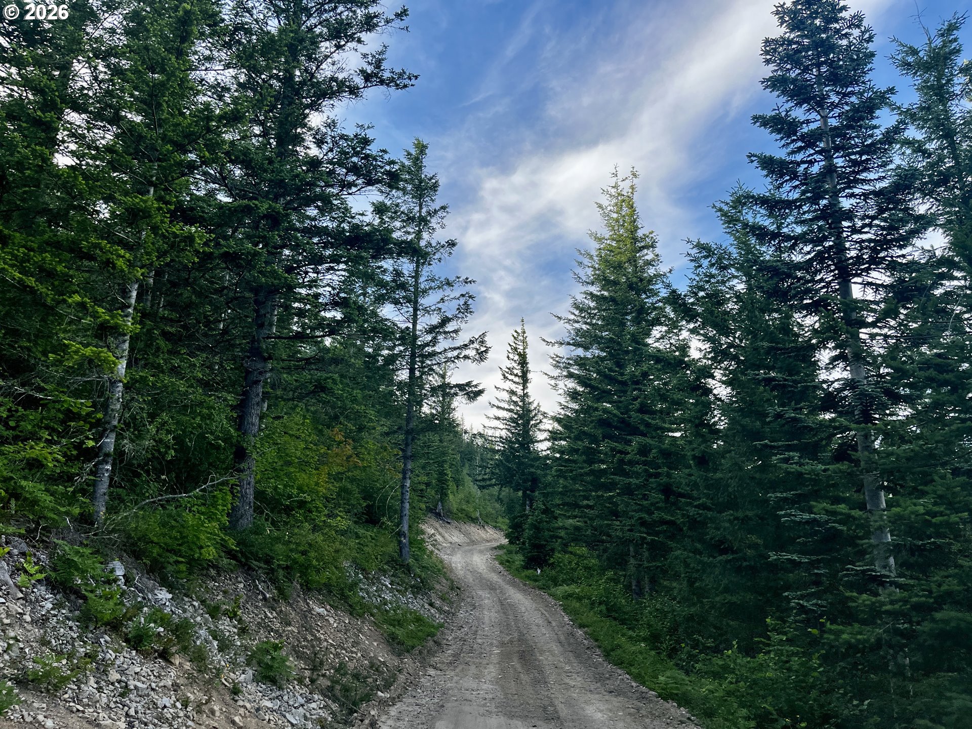 Snag Mountain Rd 110