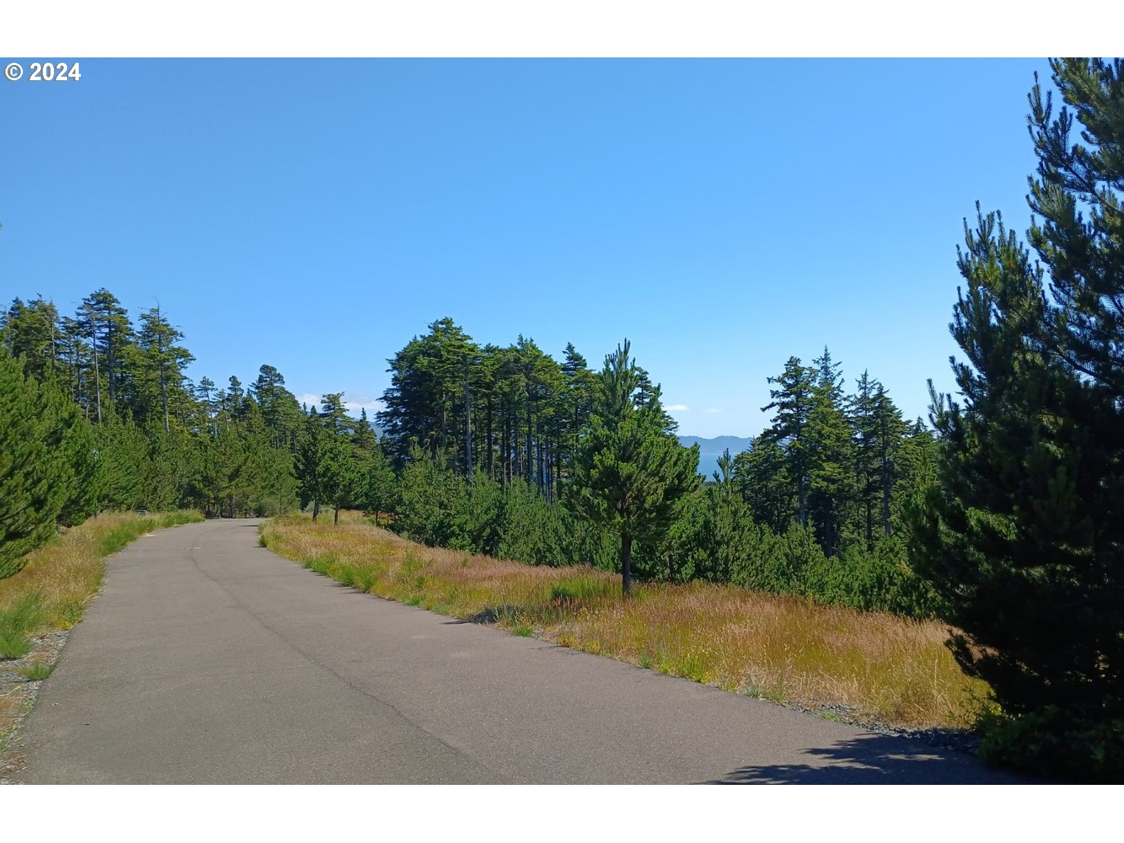 Oceanside, Oregon 97134, United States, ,Land,Active,151532