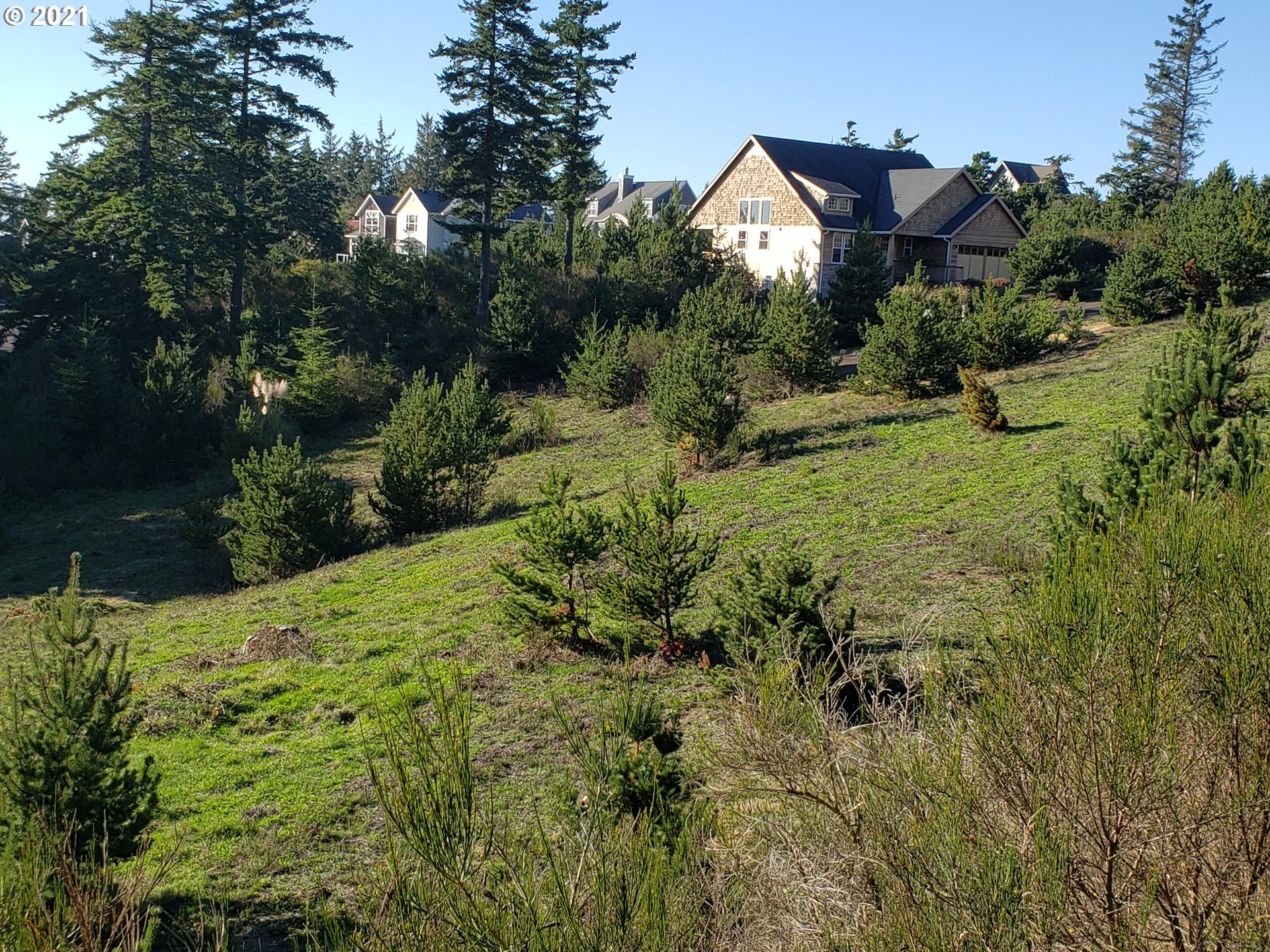 Oceanside, Oregon 97134, United States, ,Land,Active,151532