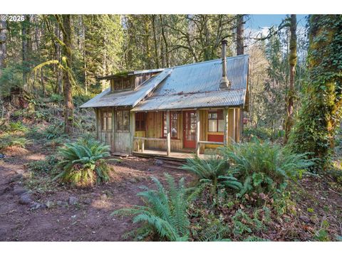 63875 E BARLOW TRAIL RD Rhododendron OR 97049
