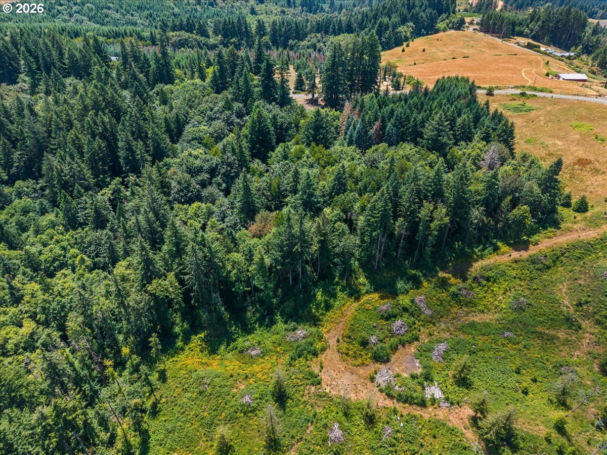20802 NW PUMPKIN RIDGE RD