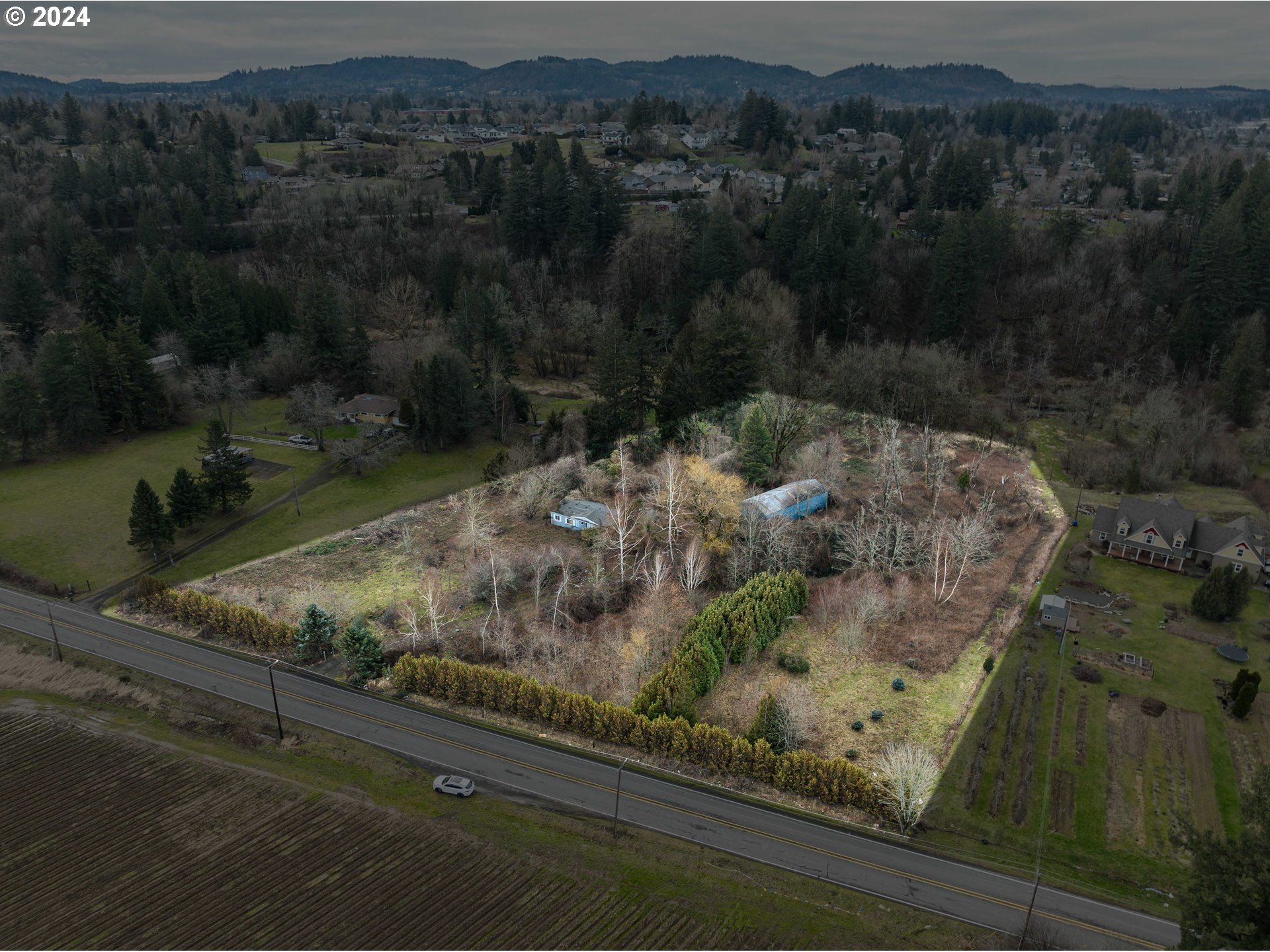 Listing image 6