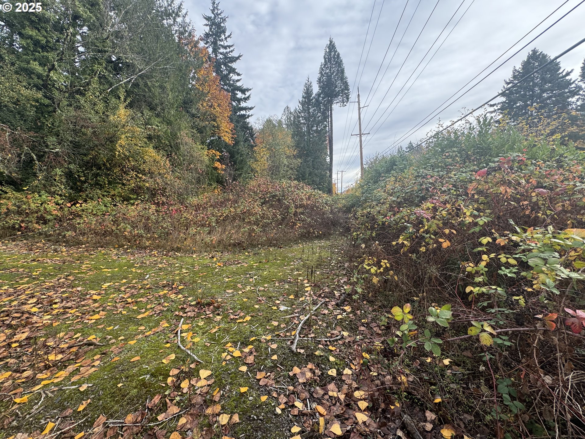 40980 SE VISTA LOOP DR SE