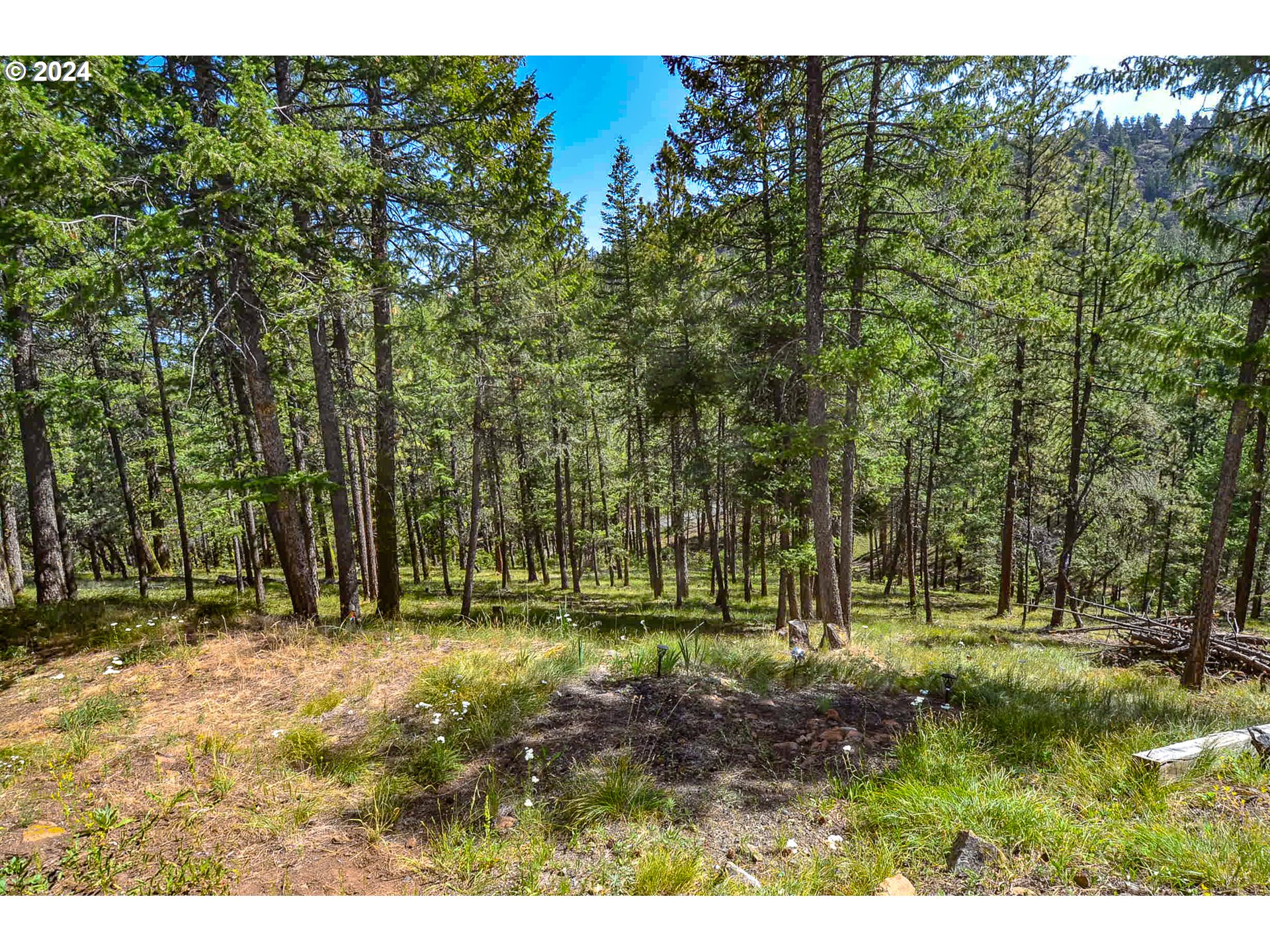 62305 HAGGARD LOOP