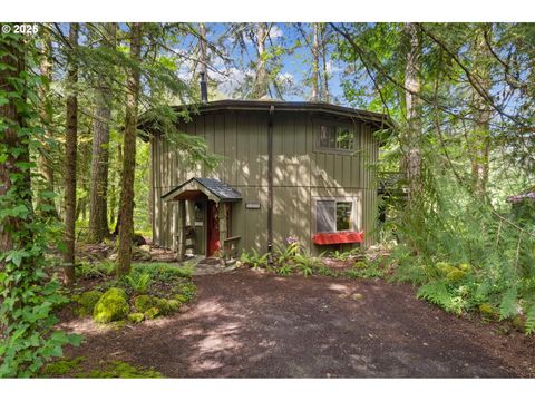 64658 E SANDY RIVER LN Rhododendron OR 97049