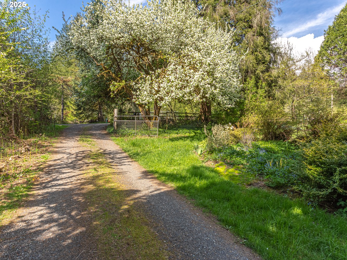 50010 SE COALMAN RD